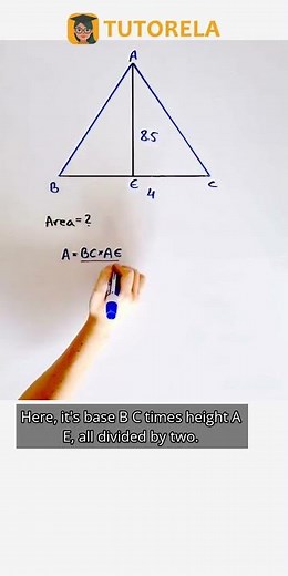 Calculate Triangle Area with Base 4 and Height 8.5 #Math #Triangle #AreaOfATriangle