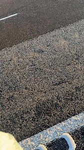 13K views · 560 reactions | Day 417 - garbage bin day | Captain Australia's BIG LAP | Facebook