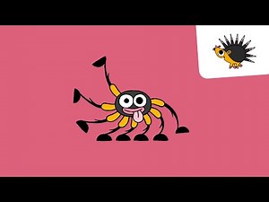 Spinne | Ich kenne ein Tier