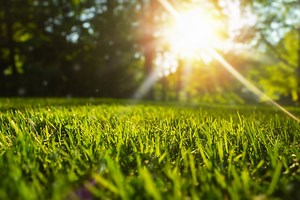 This Self-Cooling Artificial Grass May Help Cities Fight Extreme Heat - BGR