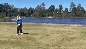 Cheeky Chase burning off some energy! | TK Event Hire