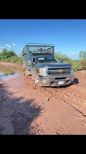 Beto Morales on TikTok