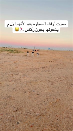 ‏#creatorsearchinsights #cat #kitten #dog #قطط