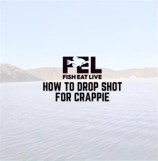 27 reactions | On this week’s episode of Fish Eat Live, Crappie Kirby hits the water to show you how to drop shot for crappie. Watch the full video on the Fish Eat Live YouTube channel or hit the link in our bio! #bnmpoles #bnmfishing #bnmrods #bnm #fisheatlive #fishing #fish #crappie #crappiefishing #dropshotfishing #dropshotting #fishingtips #fishingtechniques #howtofish #crappiefish #fishingpole #fishingrods | B'n'M Fishing | Facebook