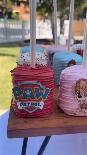 Paw patrol treats for a 1 year olds birthday💙💙💙 #cheesecakeshooters #jumbomarshmallows #chocolatedippedoreos