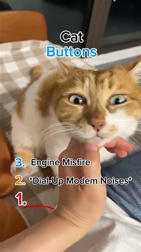 Hitting the Cat's "Glitch Button" (Funny Noises) 😹