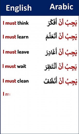 Speak Arabic in 40 Seconds 🗣️🔥 (8 Easy Phrases)