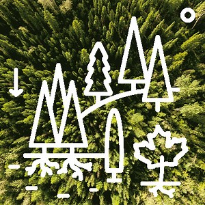 37 reactions | Nature-based solutions are an important tool in helping to slow climate change and reducing biodiversity loss. Discover some examples of NCC properties that are providing valuable #NatureBasedSolutions to climate change: https://fal.cn/3lNgZ | Nature Conservancy of Canada / Conservation de la nature Canada | Facebook