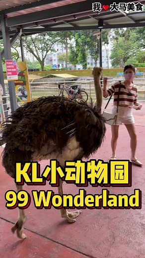 99 Wonderland Park: 比动物园还好玩的乐趣！