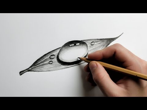How to Draw a Realistic Water Drop on a Leaf | Step-by-Step Tutorial