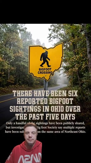 #greenscreen #bigfoot #sasquach #ufo #cryptid | big foot