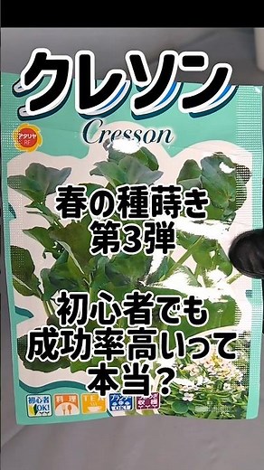 春の種蒔き 第3弾 クレソン 水耕栽培でどこまでどこまで育つのか検証していきます #クレソン #水 耕栽培 #家庭菜園 #野菜作り #栽培記録 #初心者向け #種まき