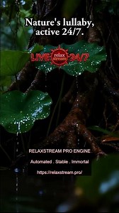 Professional TV broadcast control on your Desktop! 📺 #Broadcasting #247Live #RelaxStream