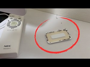 部屋を歩くアリを退治する！