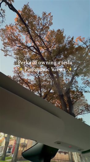 Perks of Owning a Tesla Model Y with Panoramic Sunroof