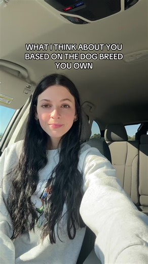 Understanding Dog Breeds: Insights on German Shepherds and Border Collies