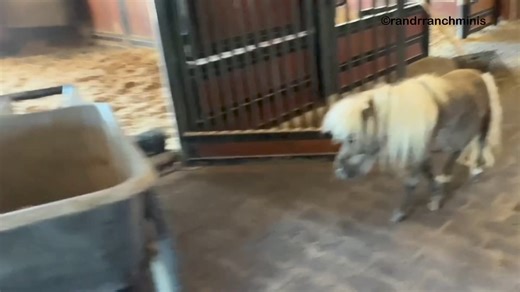 45K views · 2.1K reactions | Tubby’s Update 勇 This video is easy...