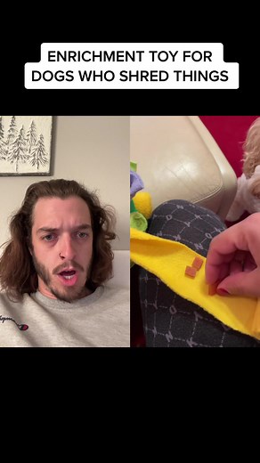 Mad Dog Vachon Enrichment Toy for Dogs Who Shred Things