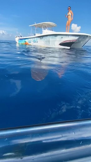 Would you ever try this?! 🦈 @paulcuffaro #shark #summervlog #shark #kayak