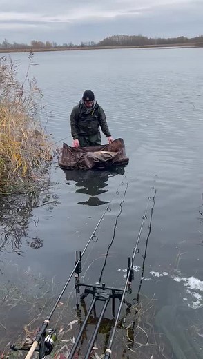 Andy P.aus.H on TikTok