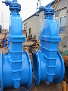 [Hot Item] Inside Screw Non-Rising Stem Type Resilient Seated Gate Valve