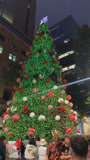 Sydney Christmas 2025 | Merry Christmas | Town Hall | Sydney | Australia | Christmas | Bondi beach