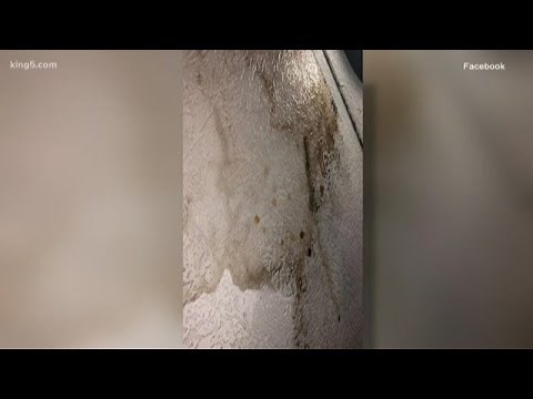 How to Break a Lease Due to Mold