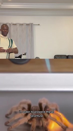 Tempura Fried Tarantulas: A Delightful Culinary Experience