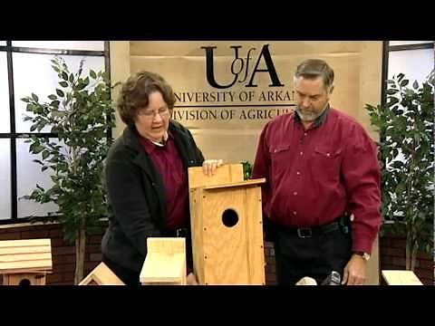Building Bluebird Nest Boxes