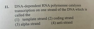 11. DNA-dependent RNA polymerase catalyses transcription on one... | Filo