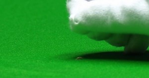 Snooker-WM 2024 in Sheffield - Finale: Schiedsrichter muss Insekt vom Tisch entfernen und dreimal nachfassen