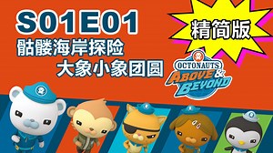 [精简版]海底小纵队：超越_S01E01_骷髅海岸探险，大象小象团圆_The Skeleton Coast Adventure