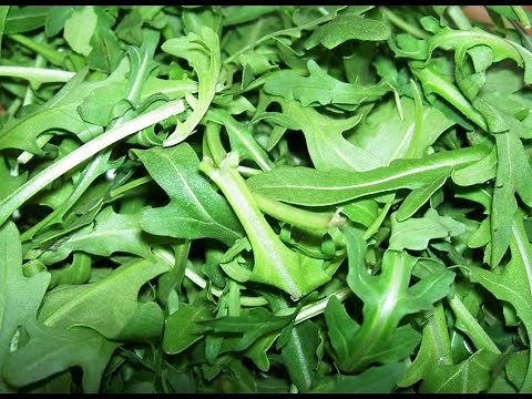 Arugula 101 - Nutrition and Health Benefits