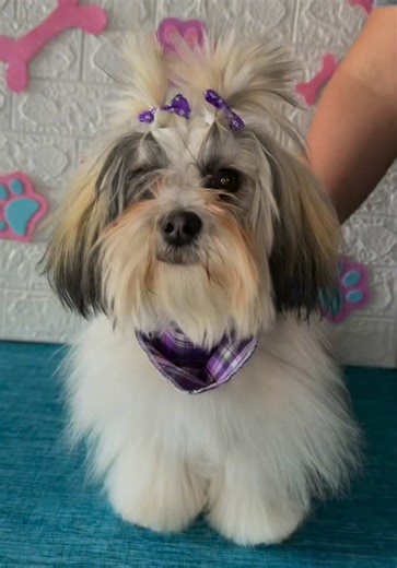 Cloe y su divertido día de spa en Bubbles Pop Spa