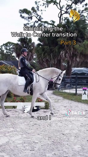 Here’s the walk-to-canter transition ridden in real time 🐎 You’ll see how preparation, balance, and a clear aid come together for a smooth, correct departure—and if it doesn’t work the first time, you simply try again. #DressageTraining #Canter #CanterTransition #DressageRider