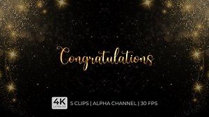 Congratulations Text Animation