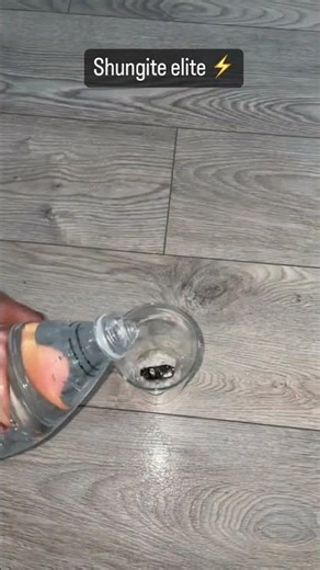 shungite elite ⚡️