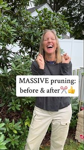 257K views · 1.7K reactions | Why get rid of a perfectly good shrub...