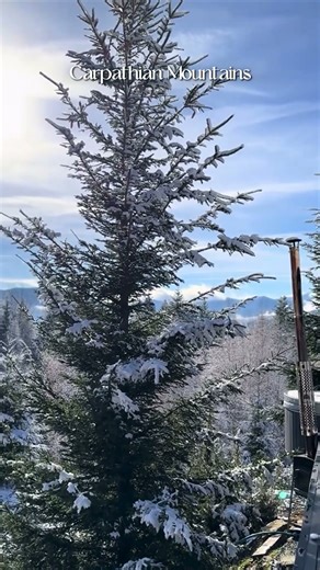 Snowy Carpathians Today: Sunshine, Mountains & Pure Winter Magic ❄️🇺🇦 #snow #ukraine #magic #winter