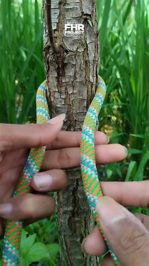 Essential Knot Techniques for Outdoor Lifesaving