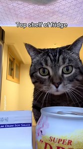 The Dryer Scared Him