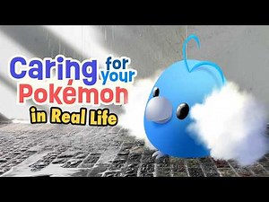 Caring for your Swablu for first-time Trainers