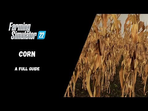 FS22 - Corn, A Full Guide - Farming Simulator 22