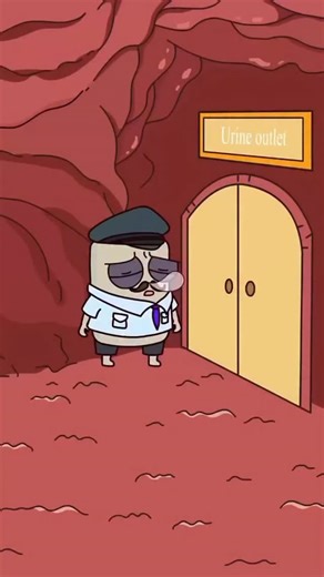 Bodytalkstv | Holding Your Pee Is Dangerous: What Really Happens Inside . . Habitually delaying urination increases bladder pressure, stretching... | Instagram