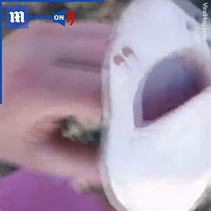 This fish didn't want to leave his new best friend! ❤️😂 via ViralHog | Daily Mail Video