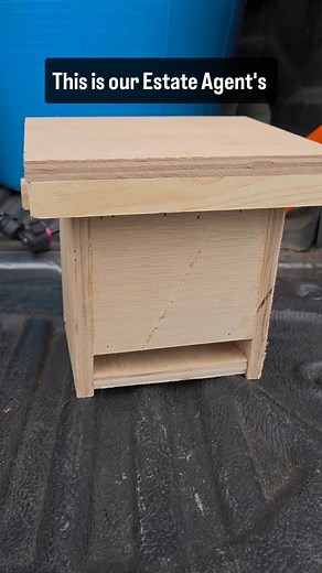 Let's take a closer look at our fabulous dormouse boxes! The best habitat for hazel dormice is broadleaved woodland with either a thicket coppice structure or mature woodland with a good understorey. Dormice can also sometimes be found in mixed conifer plantations, especially those on ancient woodland sites. As their name suggests, hazel coppice provides an excellent habitat for hazel dormice, but other than hazel nuts, they also eat seeds, berries and mast of oak, holly, birch, ash, hornbeam an