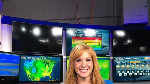 WVLT chief meteorologist Heather Haley trades TV for radio, joins WUOT to teach young Vols