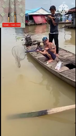 គណនីដែលបានណែនាំ