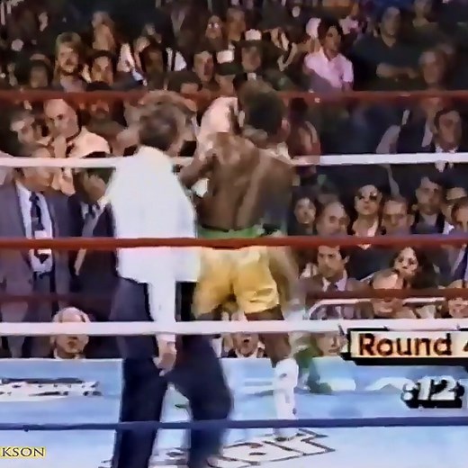 Mike McCallum vs Sean Mannion Highlights | Anita Skorgan