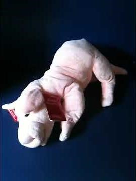 Arnold the Snoring Plush Pig by Gund